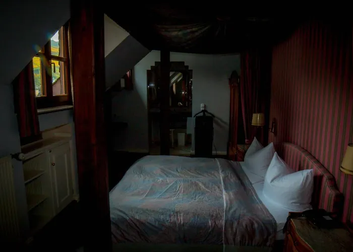 فندق Krone Assmannshausen