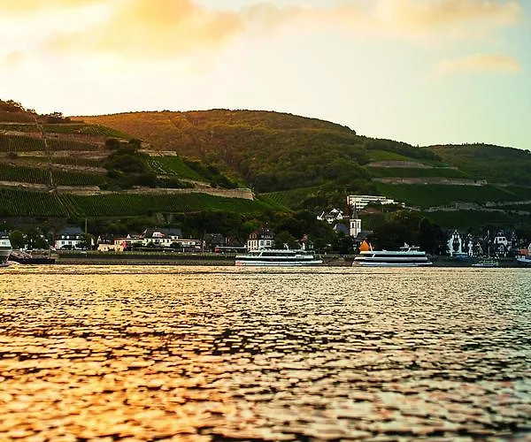 فندق Krone Assmannshausen